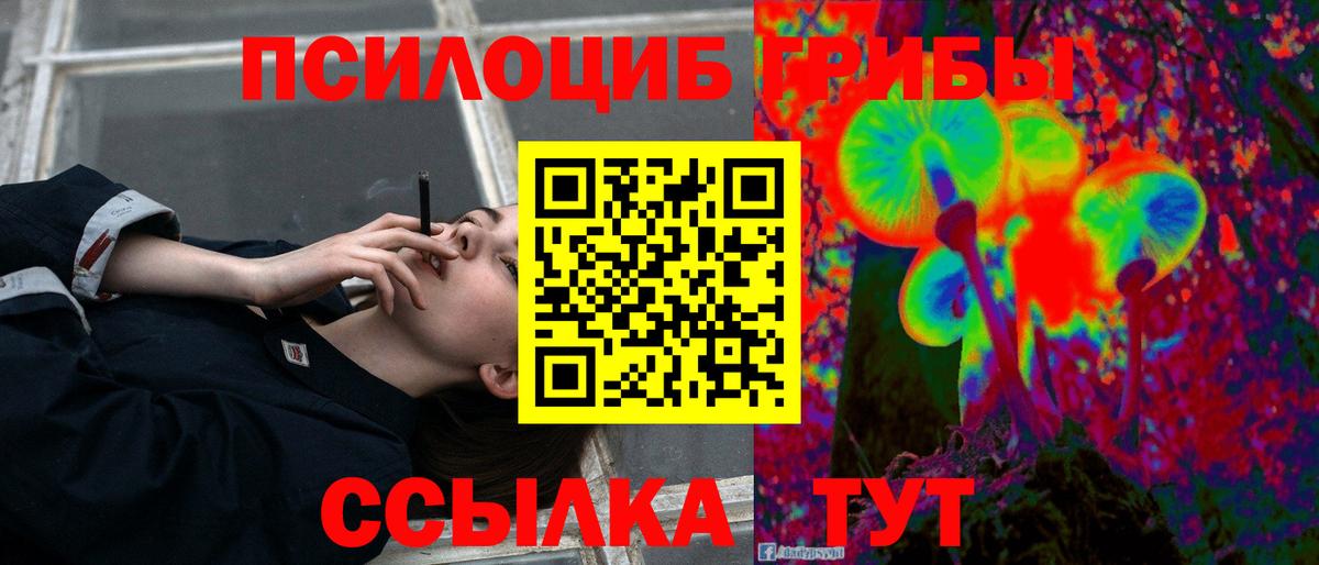 Галлюциногенные грибы GOLDEN TEACHER  Вход с VPN  Черкесск 